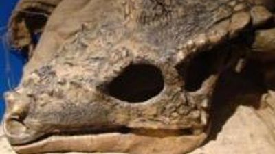 Montana Dinosaur Trail Boosts Program
