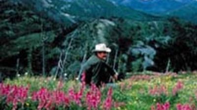 Montana Scenic Drives in Brochure