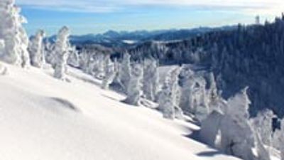 Whitefish Mountain Resort Enjoys Success This Season