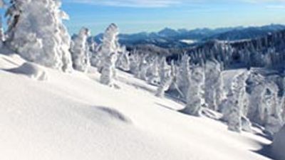 Whitefish Mountain Resort Add-On Project
