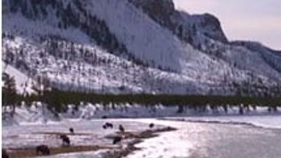Montana Travel Office Launches Winter Tourism Campaign
