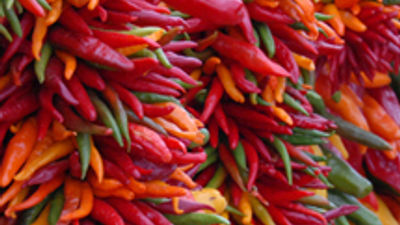 Chiles Spice Up Hyatt Package