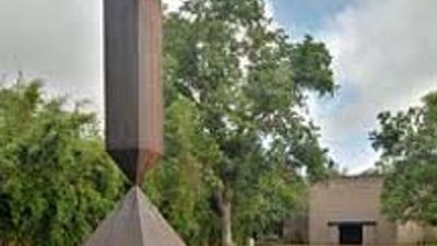 Houston Museum Experience