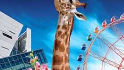Summer Family Fun in Dallas