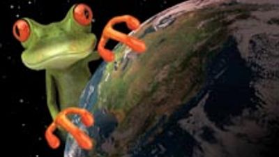 Animal Planet