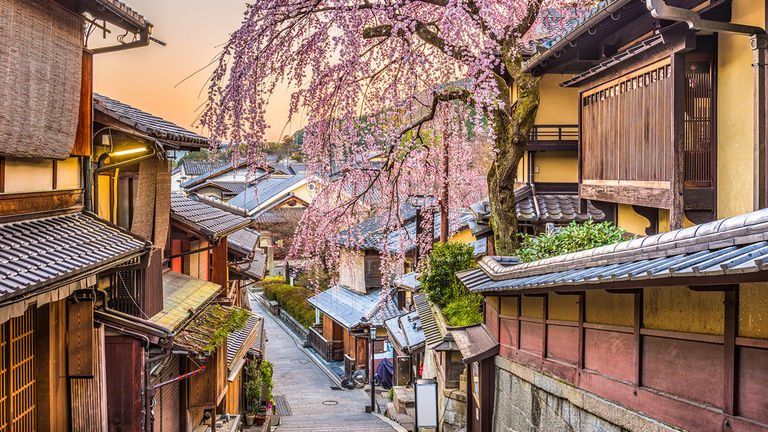 Avanti recently expanded into Asia, with customizable journeys in several destinations, including Kyoto, Japan.