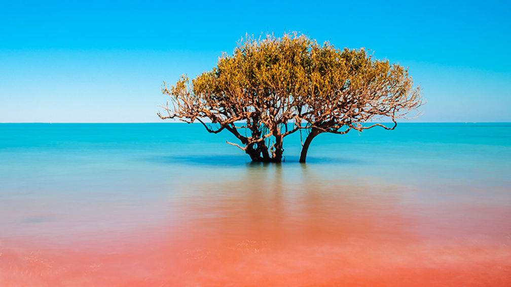 Industry Q&A: Louise Scott of Western Australia