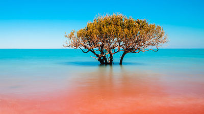 Crab Creek in Broome is the epitome of where the red dirt meets the ocean. // © 2017 Getty Images