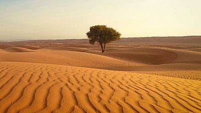 Oman will soon be added to Exotic Voyages’ portfolio of destinations. // © 2016 iStock