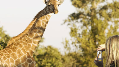 Industry Q&A: Sherwin Banda, President of African Travel, Inc.