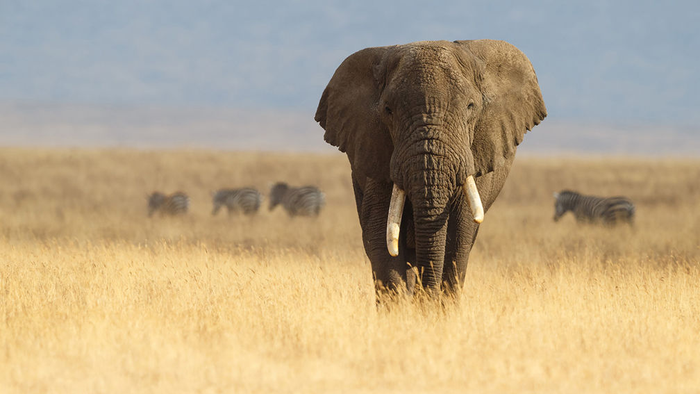 The 3 Steps to Sustainable Tourism