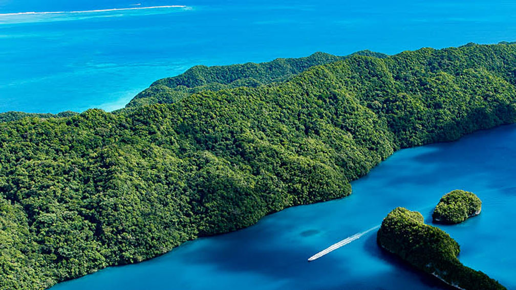 Industry Q&A: Secilil Eldebechel of Palau's President's Office