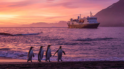 Global Tourism: Opportunity for a Reset?