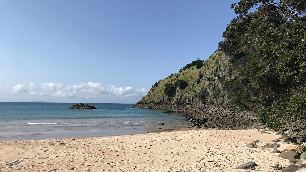 Been There, Do This: New Chum Beach in Coromandel, New Zealand