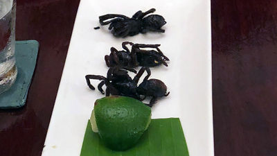 Very adventurous visitors can try fried tarantula at Romdeng.