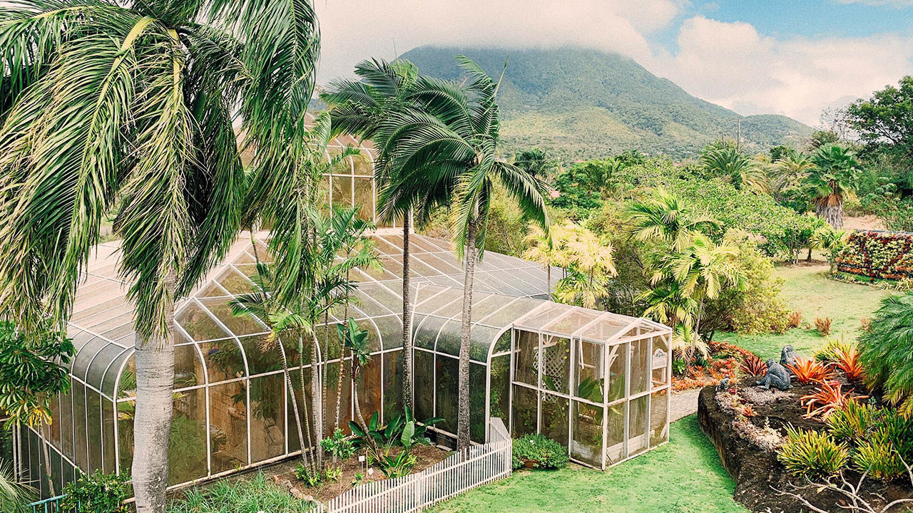Been There, Do This: The Botanical Gardens of Nevis in the Caribbean