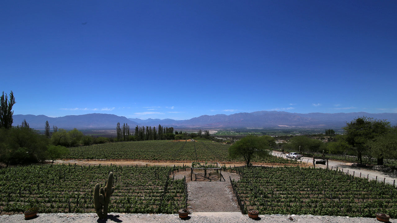 Been There, Do This: Wine Tasting in Cafayate, Argentina
