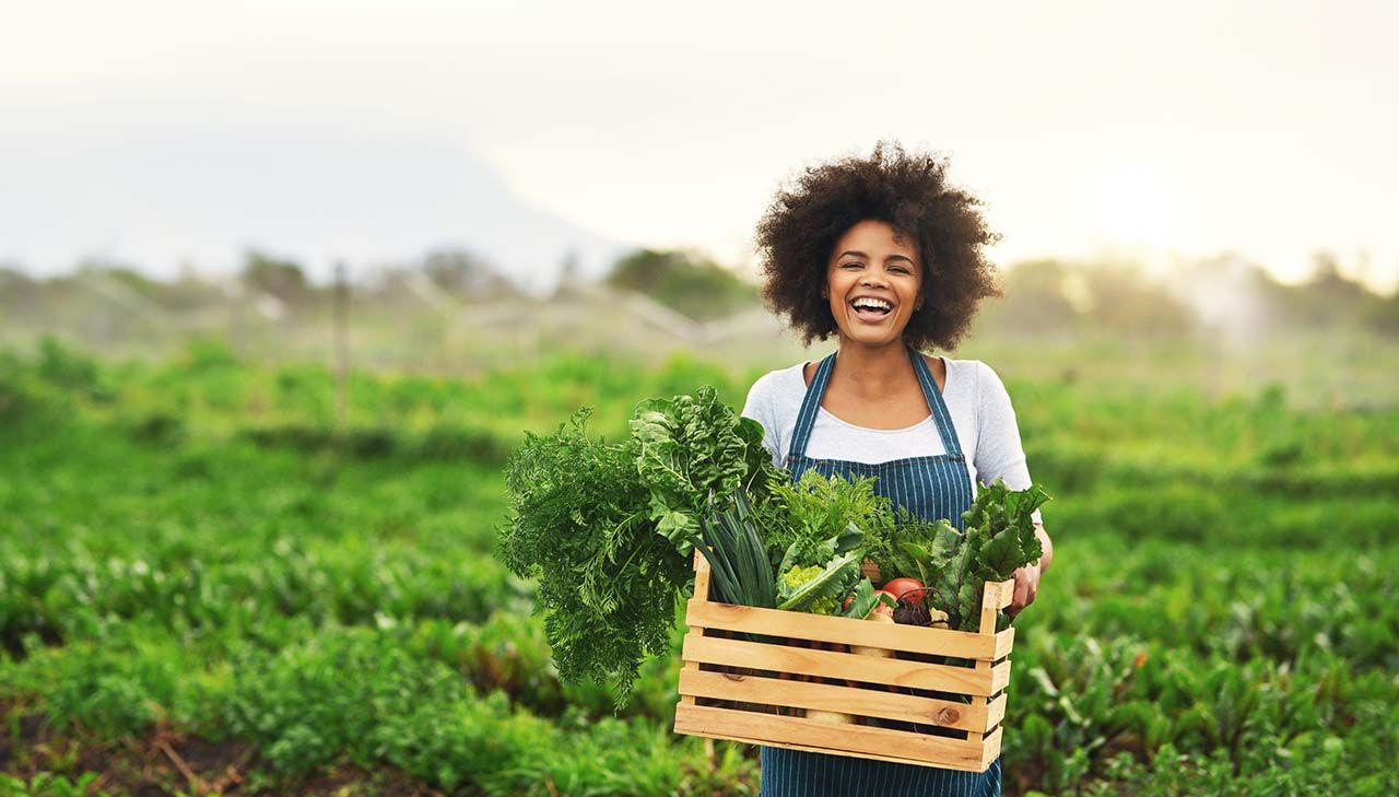 What to Know About Agritourism and Sustainability