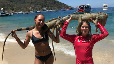 Family Vacation Journal: Puerto Vallarta, Mexico