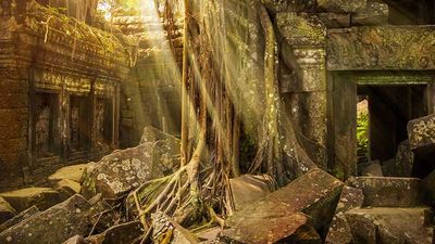 Ta Prohm temple, Cambodia, Angkor // © 2015 iStock 2