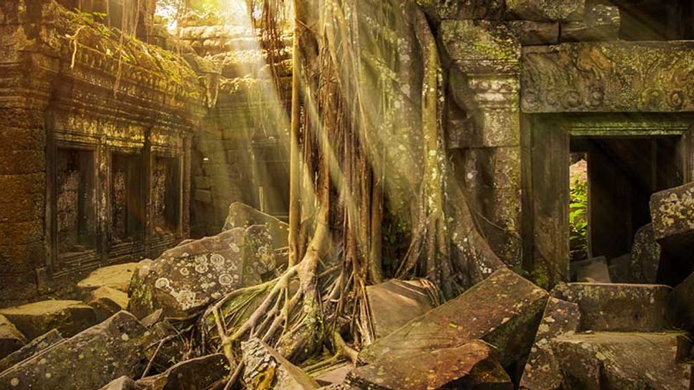 Ta Prohm temple, Cambodia, Angkor // © 2015 iStock 2
