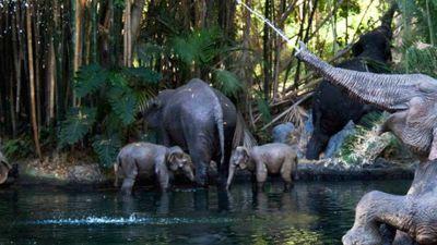 The Sunrise Safari Breakfast Adventure costs $300 per guest (park admission is not included). // © 2015 Disney 2