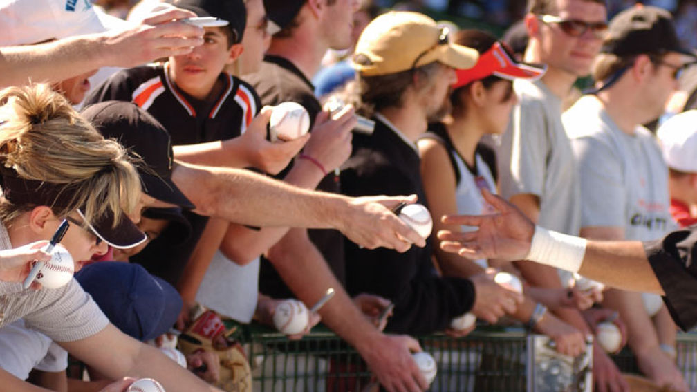 Outfield grass seats, Cactus League spring training baseball