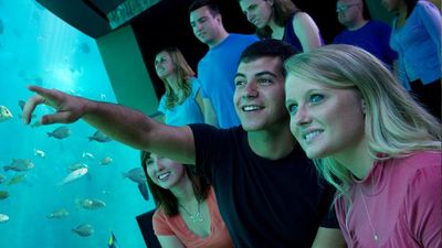 Four of Florida’s theme parks are offering a “Choose Your Adventure” ticket option. // © 2016 Seaworld 2