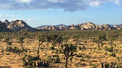 Visitors to the park can explore its unusual landscape. // © 2016 Chelsee Lowe 2