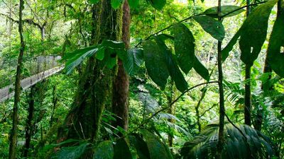 Families will come face to face with Costa Rica’s wildlife on a new itinerary. // © 2016 Wild Planet Adventures 2
