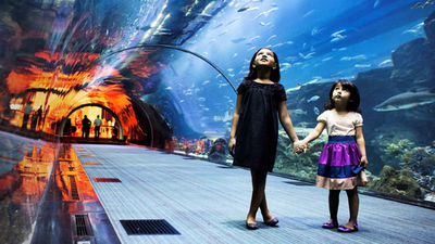 Inside The Dubai Mall, the world's largest mall, kids will love discovering the Dubai Aquarium and Underwater Zoo. // © 2016 Madinat Jumeirah