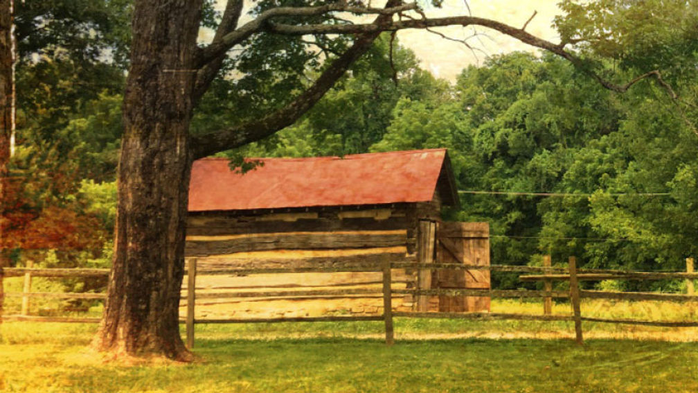 Family Vacation Journal: Andrew Jackson's Hermitage