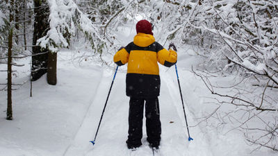 Kids can ski alongside their parents. // © 2017 iStock