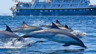 Bring the Kids on This Sea of Cortez Expedition Cruise