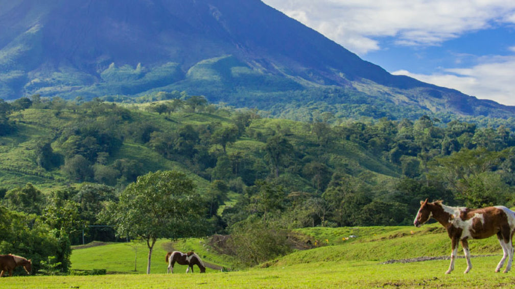 A Kid-Friendly Costa Rica Tour With Il Viaggio Travel