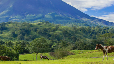 A Kid-Friendly Costa Rica Tour With Il Viaggio Travel
