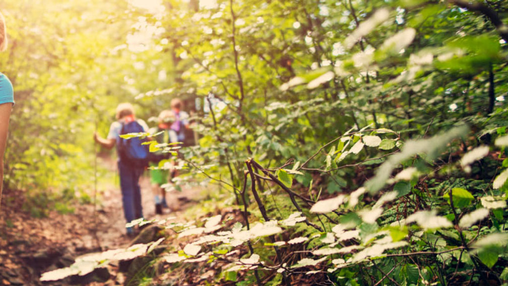 Why Colorado Is a Playground for Summer Family Travel