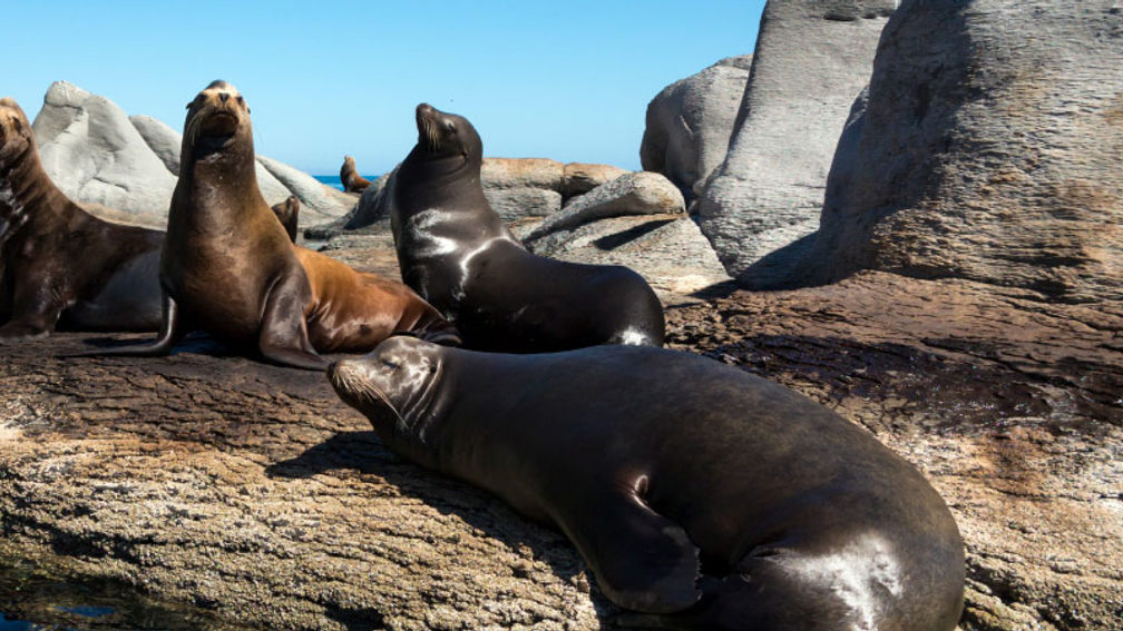 An Inside Look at Family-Friendly Loreto