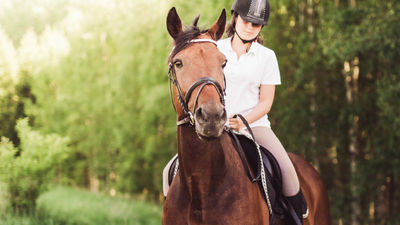 Alisal offers a horsemanship program for kids. // © 2018 Getty Images