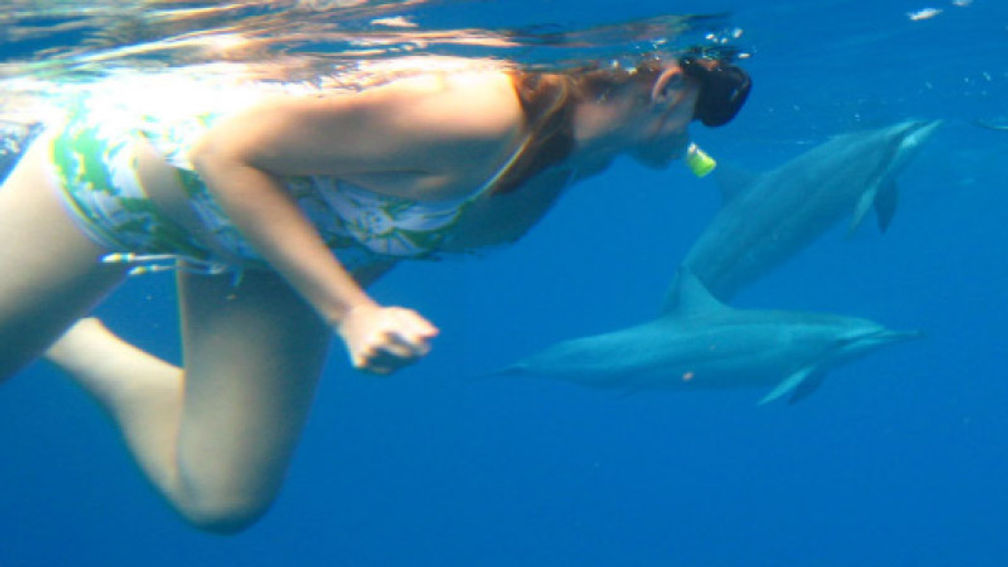 Oahu’s adventures include swimming with dolphins. // © 2014 Wild Dolphin Foundation 2