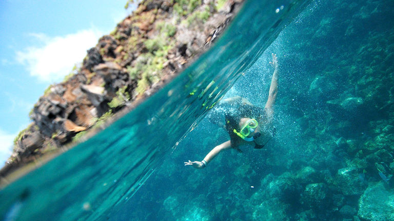 On the Adventures by Disney Galapagos Islands Expedition Cruise, guests will have the chance to snorkel.