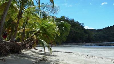 Project volunteers often spend their free time exploring Manuel Antonio National Park, which is a short bus ride from Quepos. // © 2015 Global Vision International