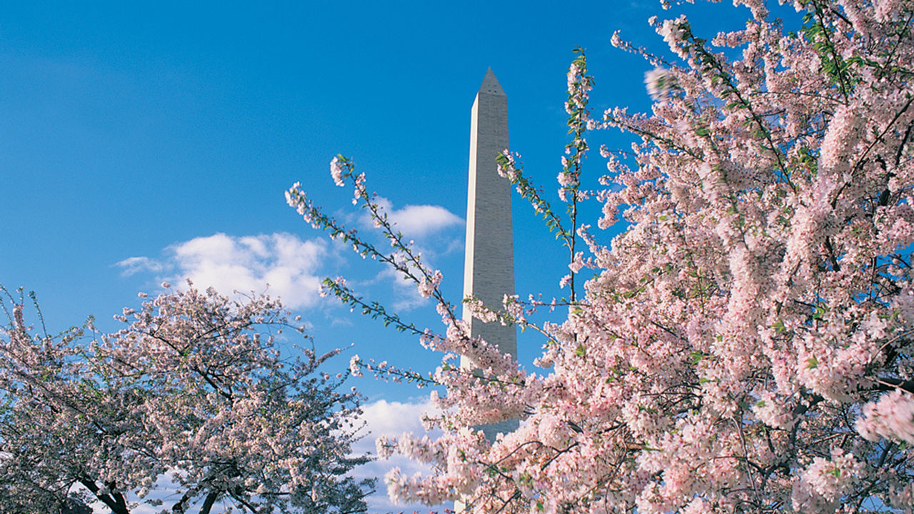 7 Things to Do With Kids in Washington, D.C., During COVID-19