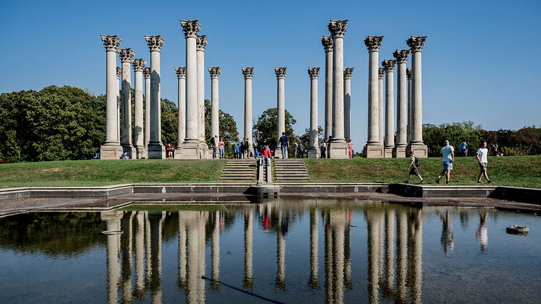 The National Arboretum