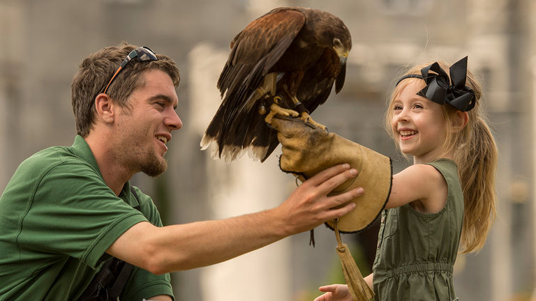 Budding orinthologists will love the on-site Hawk Walks at Dromoland Castle Hotel.