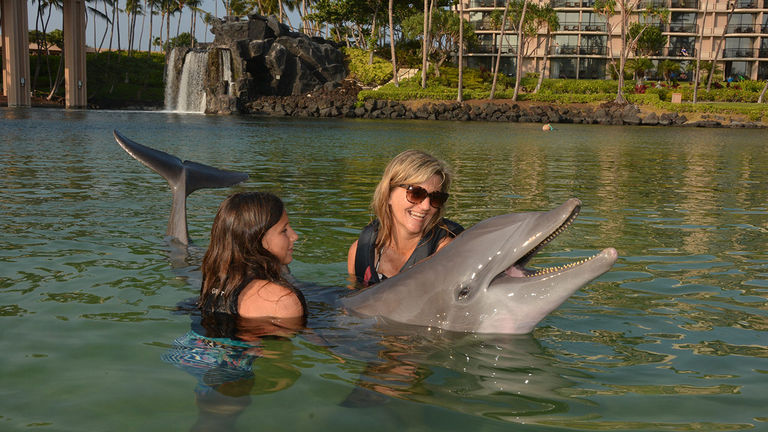 Guests pose with dolphins for Dolphin Quest photographers.