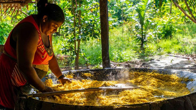 Meet locals who live in villages deep in the rainforest.