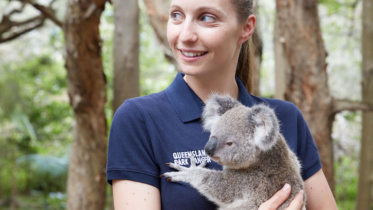 Kids can learn about koalas with Tourism Australia’s virtual sessions.