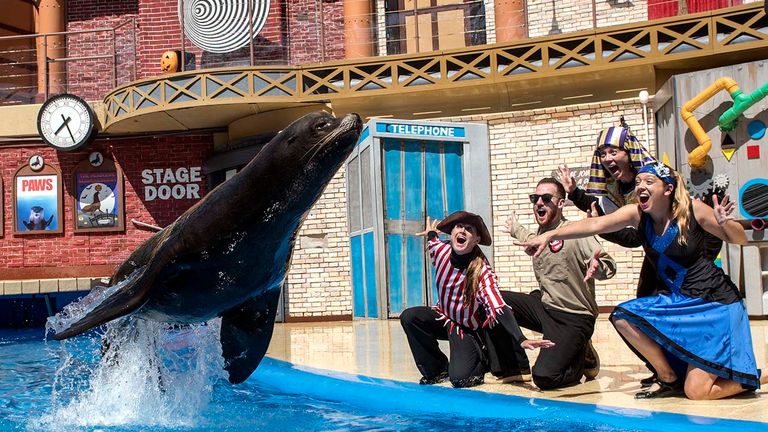 Don't miss the spooktacular sea lion show at SeaWorld San Diego.