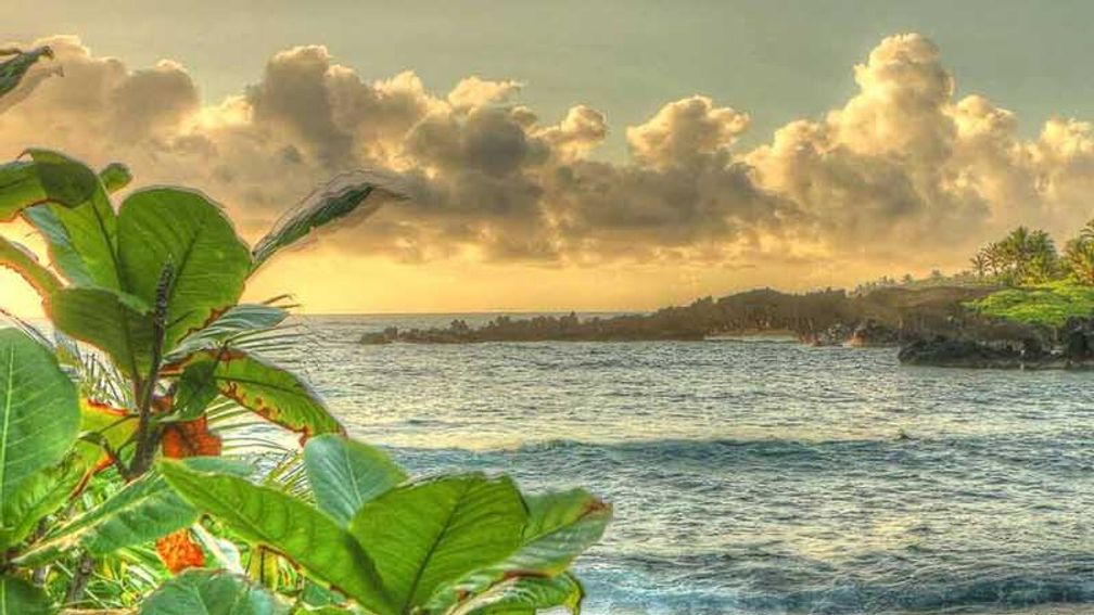 MauiFamily_FEATURE